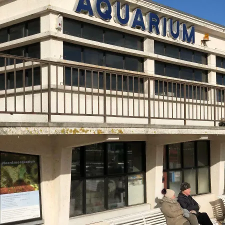Apartment Harbour/beach Ostend